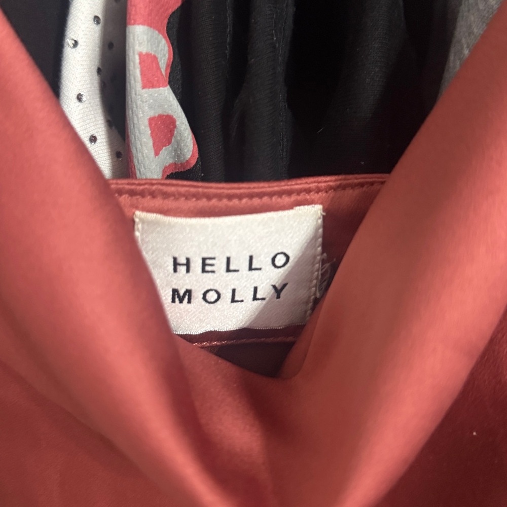 Hello Molly Terracotta Satin Dress - Picture 2 of 4